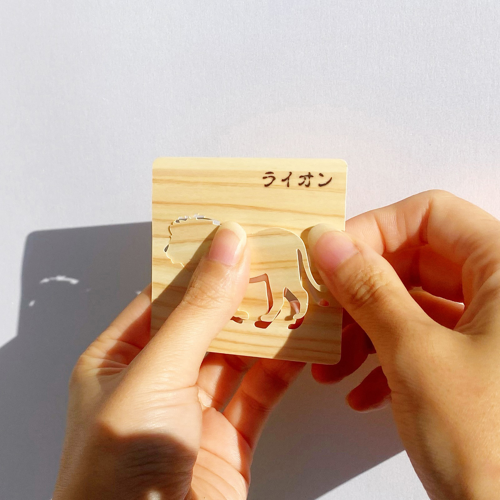絵合わせクイズ　写真